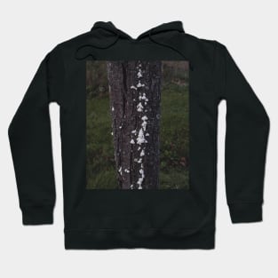 Hand Fungus Hoodie